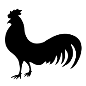 Cock PNG