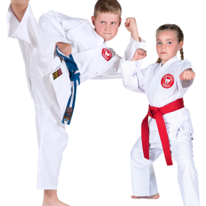 Karate PNG