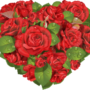 Rose PNG
