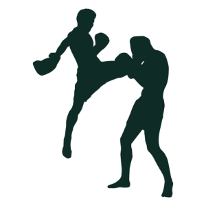 Kickboxing PNG