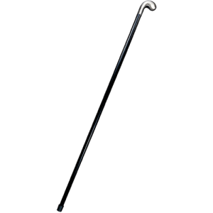 Walking stick PNG