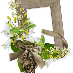 Floral frame PNG