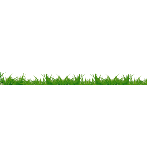 Grass PNG