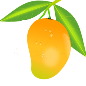 Mango PNG image