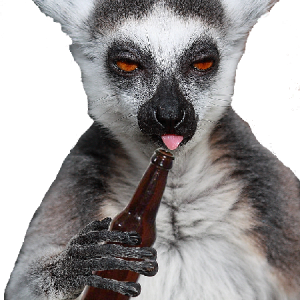 Lemur PNG