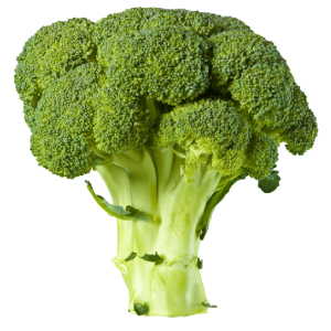 Broccoli PNG
