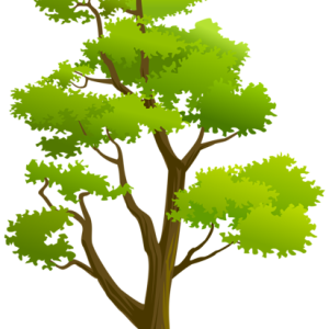 tree PNG