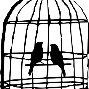 Cage bird PNG