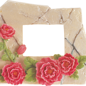 Floral frame PNG
