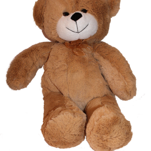 Teddy bear PNG