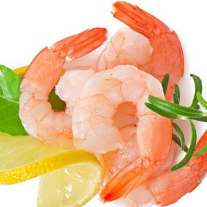 Shrimp PNG image