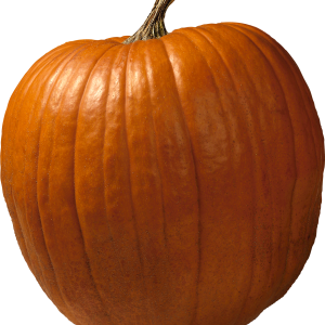 Pumpkin PNG