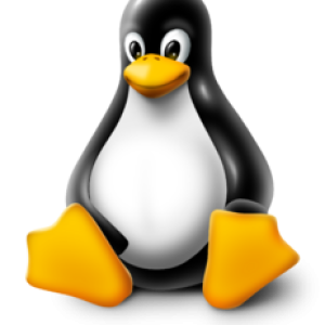 Linux logo PNG