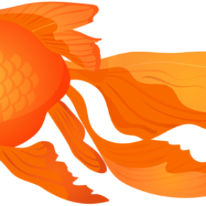 Goldfish PNG