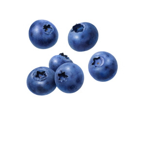 Blueberries PNG