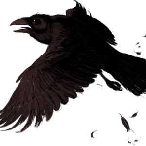 Raven PNG
