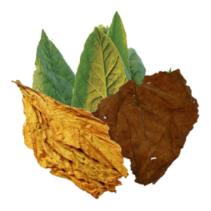 Tobacco PNG