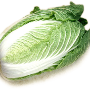 Cabbage PNG image