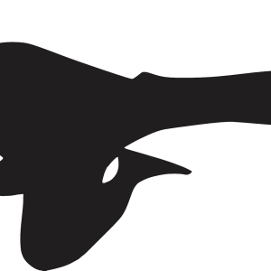 Taekwondo PNG
