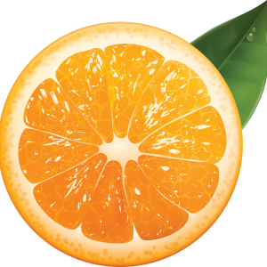 Orange cut PNG