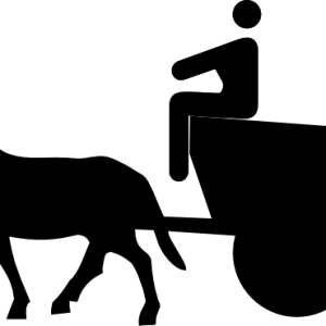 Carriage PNG