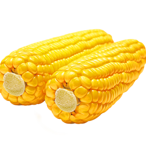 Corn PNG image
