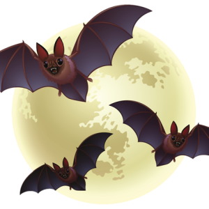 Halloween PNG
