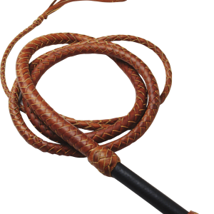 Whip PNG