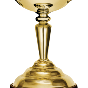 Golden cup PNG