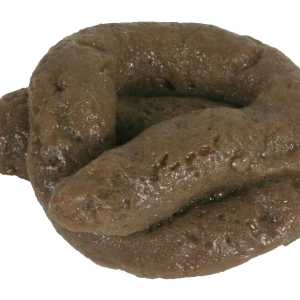 Poop PNG