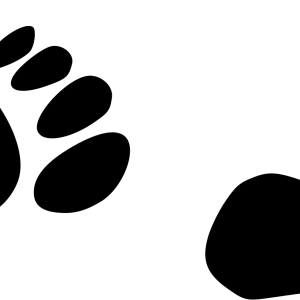 Footprints PNG