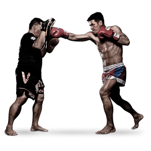 Mixed martial arts PNG, MMA PNG