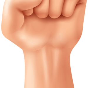 Fist hand PNG