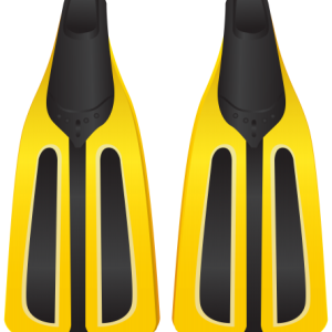 Flippers PNG