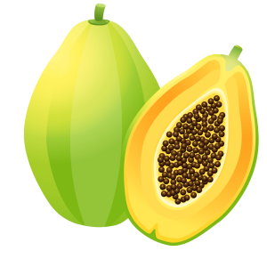 Papaya PNG