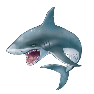 Shark PNG