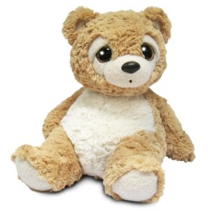 Teddy bear PNG