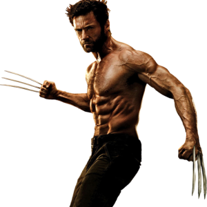 Wolverine PNG
