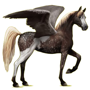 Pegasus PNG