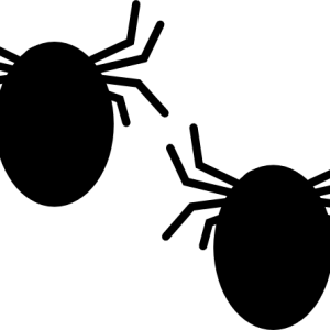 Tick insect PNG
