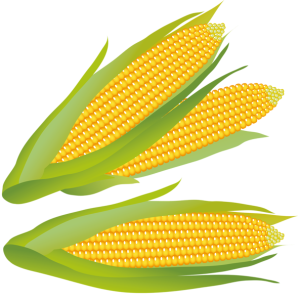 Corn PNG