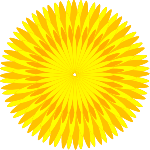 Dandelion PNG