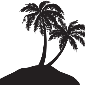 Palm tree PNG