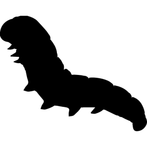Caterpillar PNG
