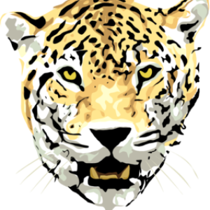 Leopard PNG