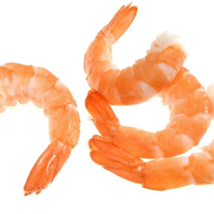 Shrimp PNG image