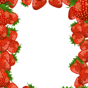 Picture, photo frame PNG