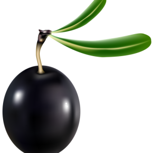 Olives PNG