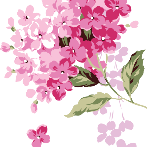 Lilac PNG