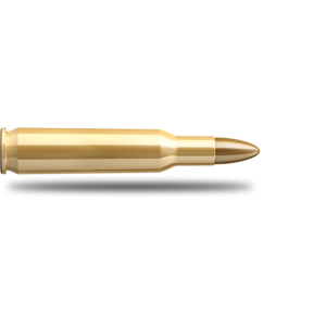Bullets PNG image